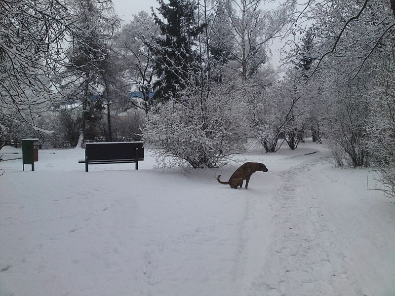 romantick� zima v praze