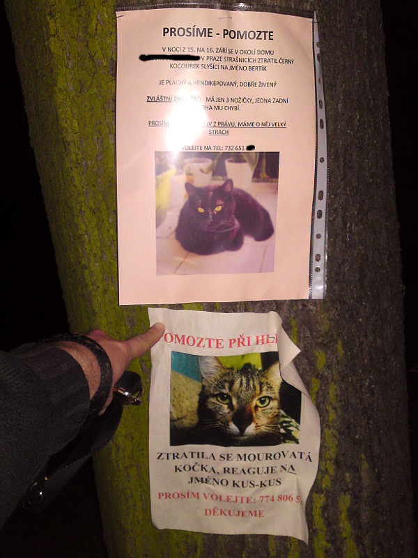 ko�i�� armagedon